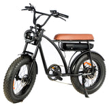 48v 1000w 20 Inch Lithium Battery Super Retro Fat Tire Ebike 73 Electric Mountain Bike For Men