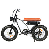 48v 1000w 20 Inch Lithium Battery Super Retro Fat Tire Ebike 73 Electric Mountain Bike For Men