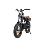 Fat bike europe long range 20 inch fat tire ebike down buis 250w fat bike electrische