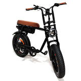 20 Inch 500w/750W Fat Tire Adult Bicycle Beach Fast E Mountain Bicycle Electric Dirt Bike