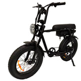 20 Inch 500w/750W Fat Tire Adult Bicycle Beach Fast E Mountain Bicycle Electric Dirt Bike