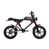 12.5ah/17.5ah Lithium Battery Stylish Full Suspension Retro Mountain fatbike Powerful Fat Tire Electric Bike